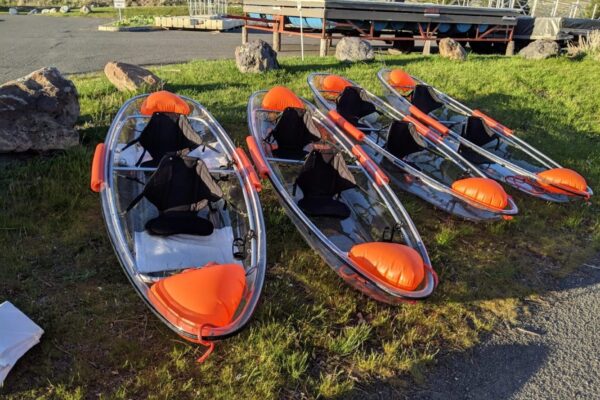 imgi_2_IMG_20190502_185622-scaled