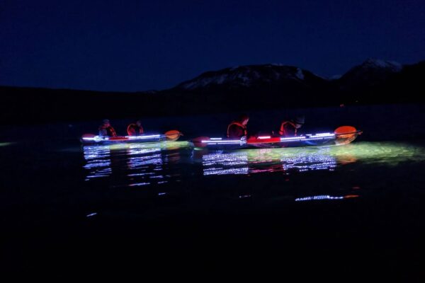 imgi_2_IMG_20190502_204004-scaled