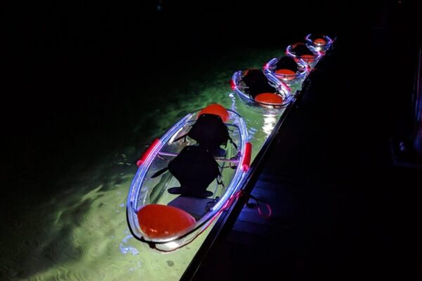 imgi_2_IMG_20190502_2112262-scaled