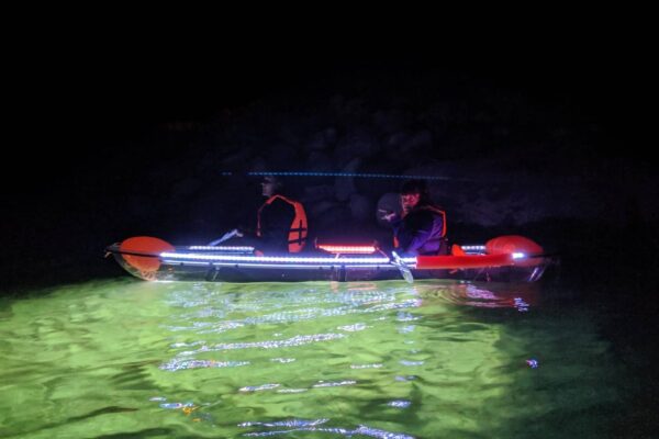 imgi_2_IMG_20190602_213159-scaled